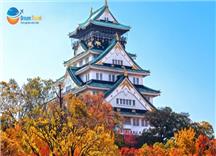 [HCM] Tour Nhật Bản Thiết Kế 6N5Đ: Hành Trình Vàng Mùa Thu 2025